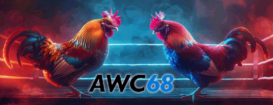 AWC68 Arcade